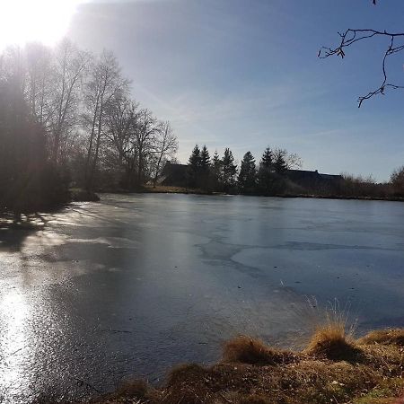 Fermette Typique Auvergnate Dans Son Ecrin D'Eau Et De Verdure Saint-Donat Экстерьер фото