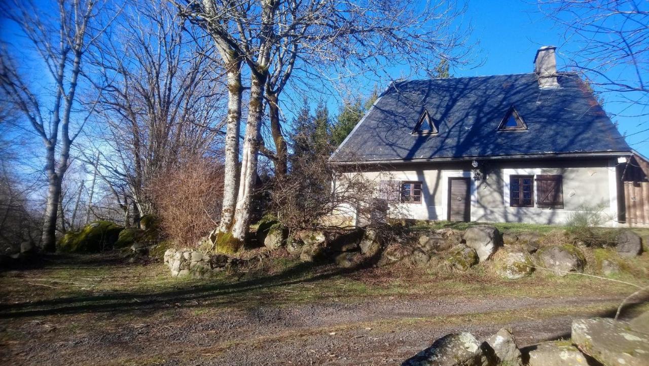 Fermette Typique Auvergnate Dans Son Ecrin D'Eau Et De Verdure Saint-Donat Экстерьер фото